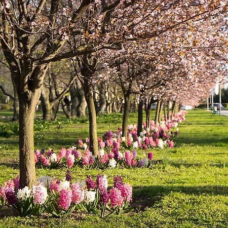 Apartment Swietojanska