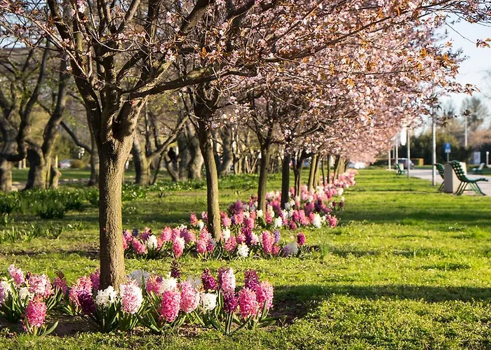 Appartement Swietojanska